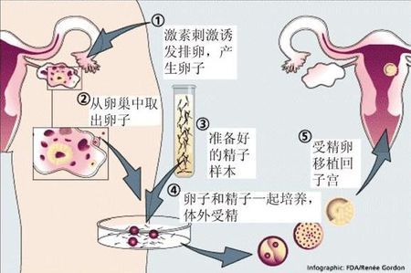 陈若晴 副院长